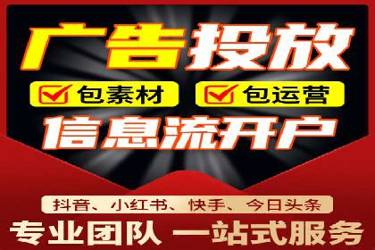 短视频信息流营销实战：小红书的成长之路
